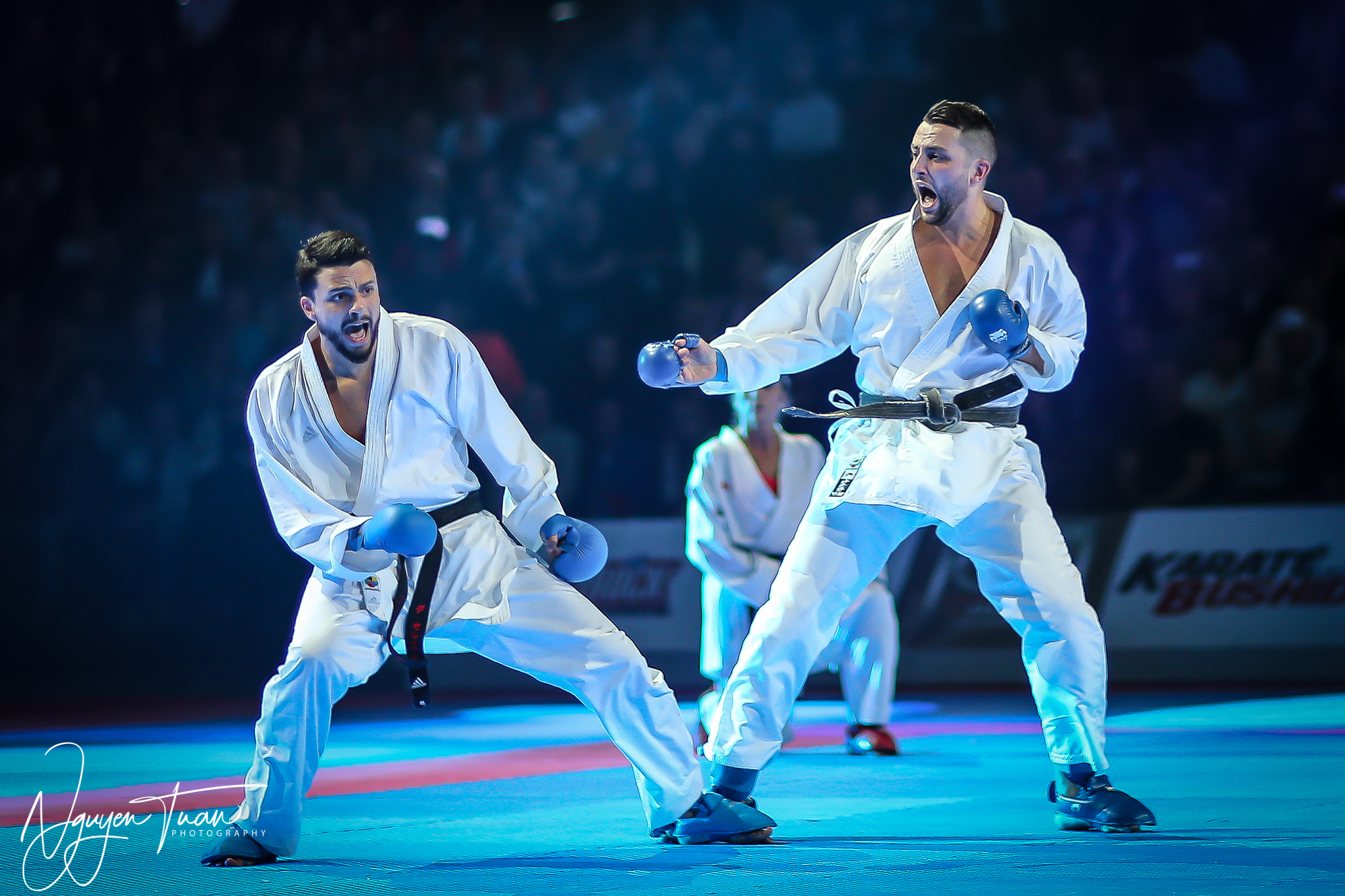 20190324 Festival des Arts Martiaux 3825